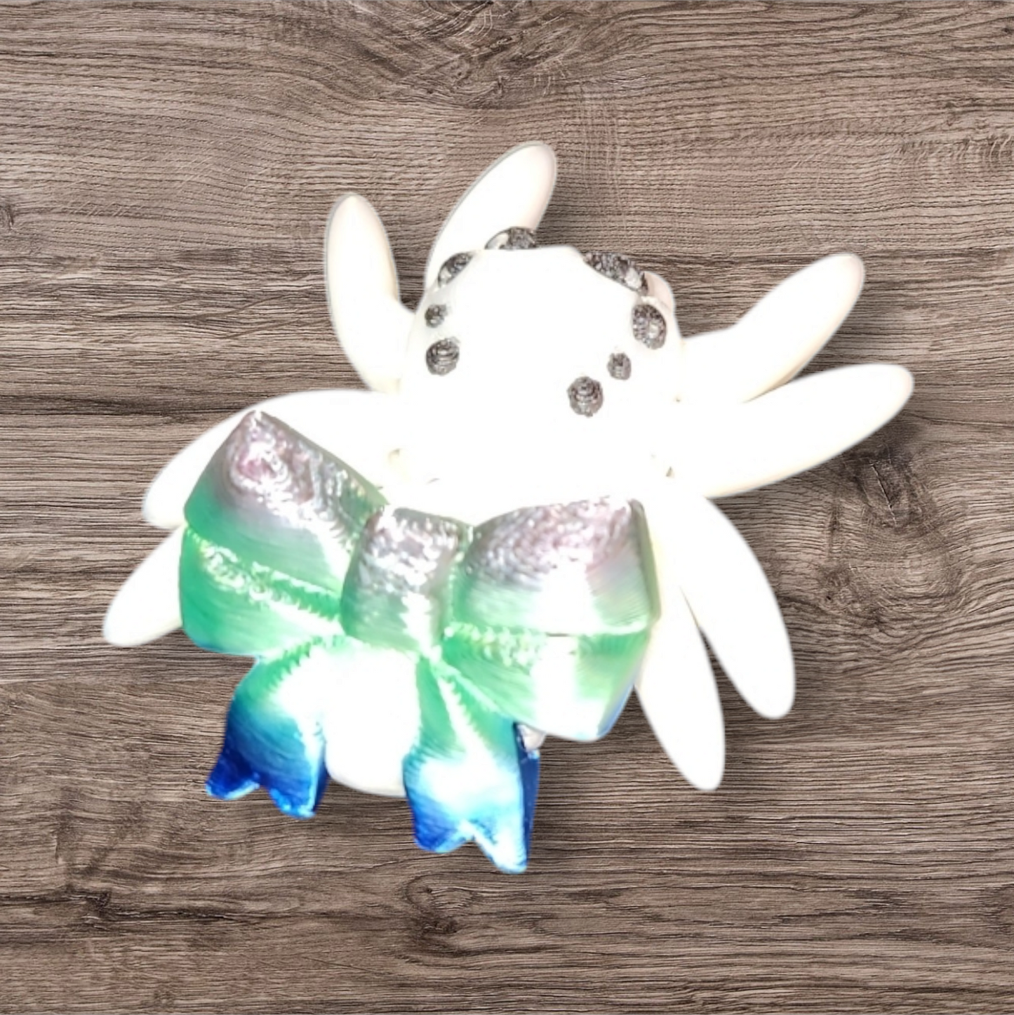 Articulated Bow Jumping Spider