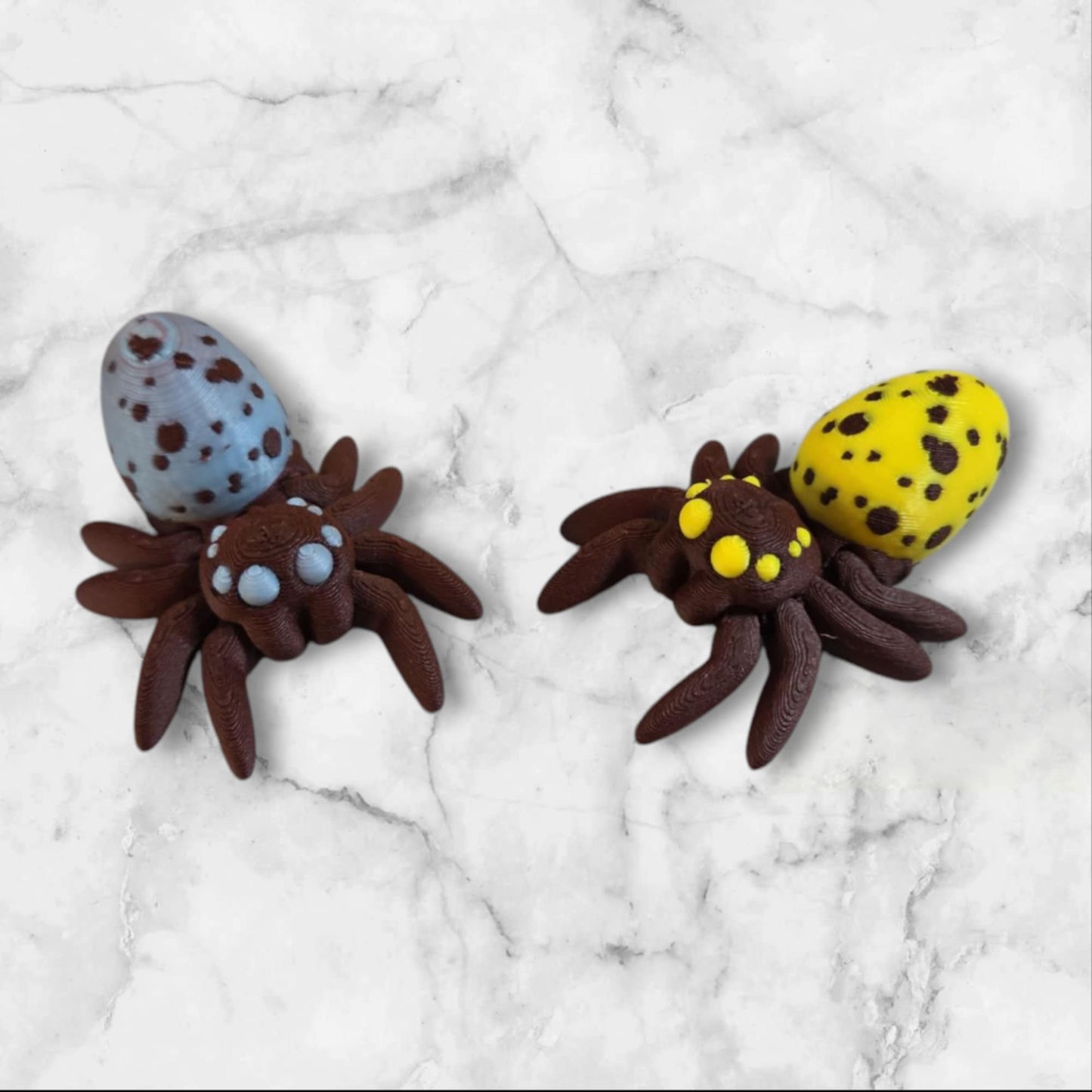 Articulated Robin Egg Jumping Spider