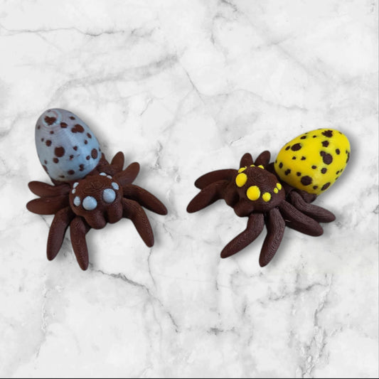 Articulated Robin Egg Jumping Spider