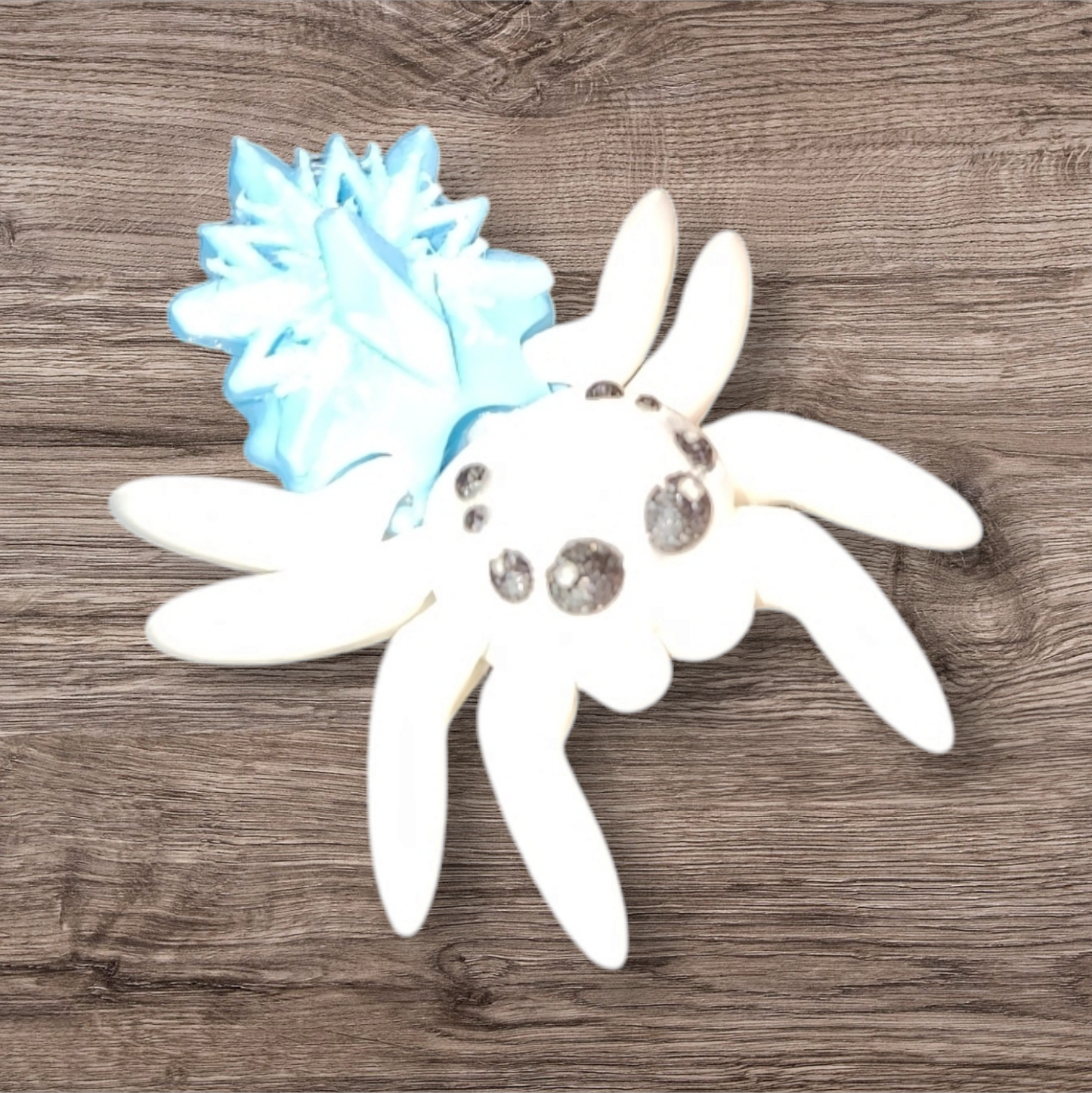 Articulated Snowflake Jumping Spider